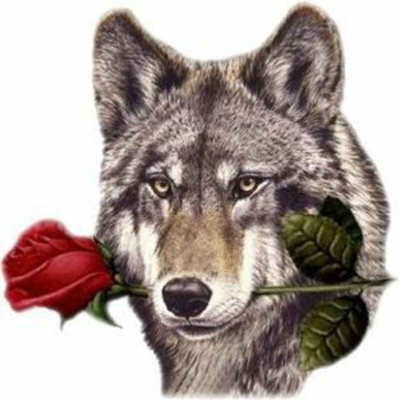 El lobo, por Lonely wolf | Poéticous: poemas, ensayos y cuentos