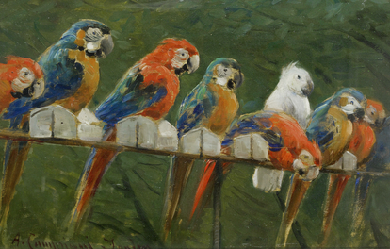 Parrots, by Alceste Campriani