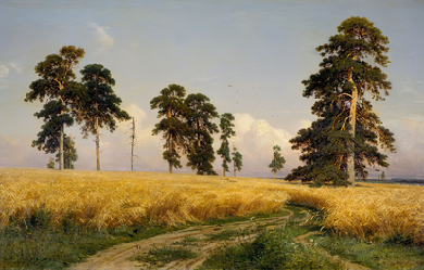 Rye, by Iván Shishkin